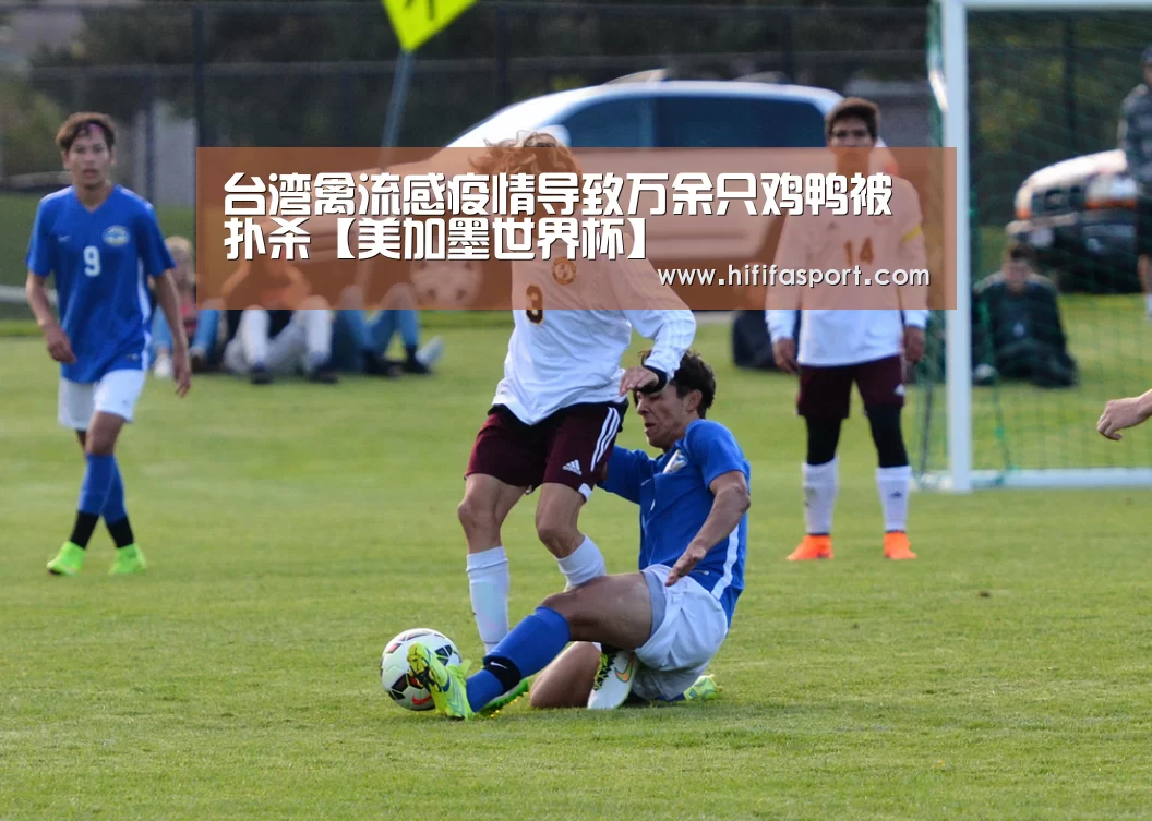 台湾禽流感疫情导致万余只鸡鸭被扑杀【美加墨世界杯】(图4) 实时比分